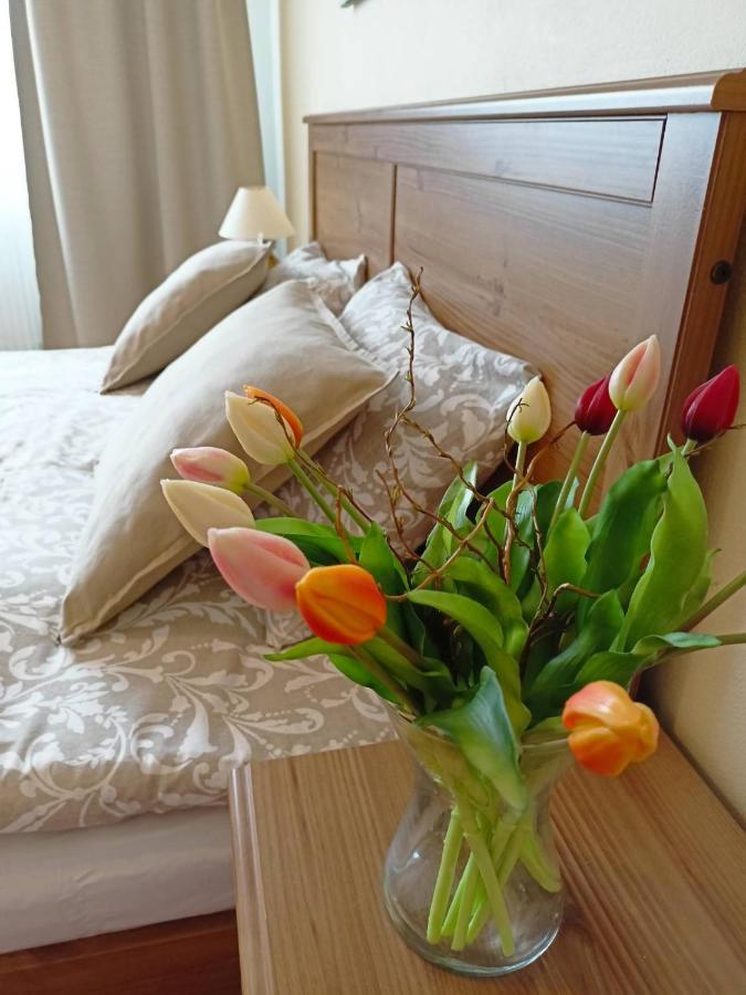 Villa Paradajs - Ubytovanie Pri Jazere Banská Štiavnica Eksteriør billede